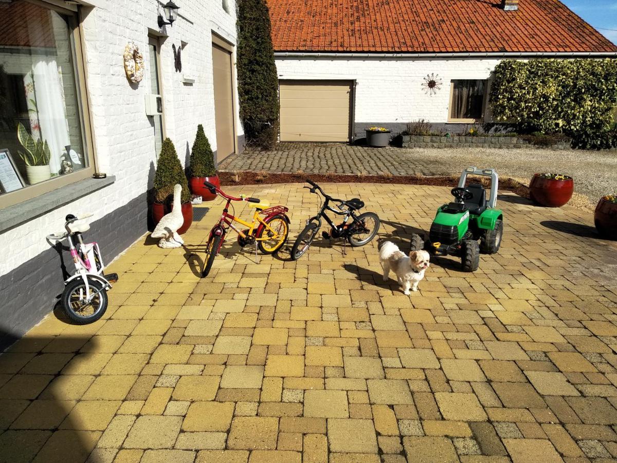 B&B Het Polderhof Jabbeke  Exterior foto